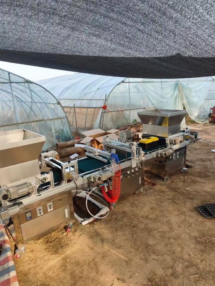 Greenhouse Vegetable Nursery M - Nursery 评论和价格